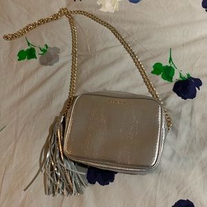 Victoria Secret Silver Purse